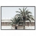 Moroccan Palms Art Print