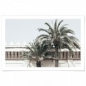 Moroccan Palms Art Print