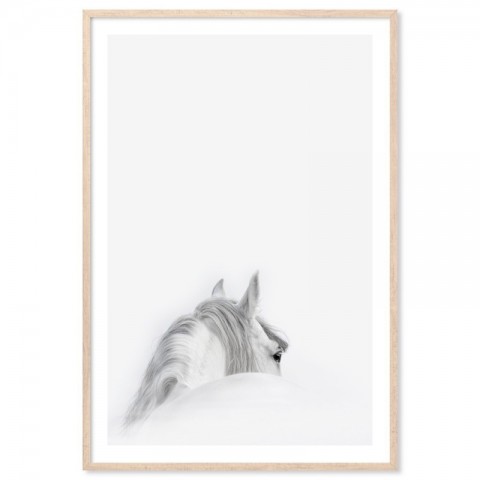 Mystic White Horse Art Print