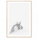 Mystic White Horse Art Print