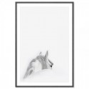 Mystic White Horse Art Print