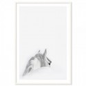 Mystic White Horse Art Print