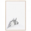 Mystic White Horse Art Print