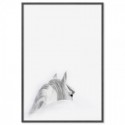 Mystic White Horse Art Print