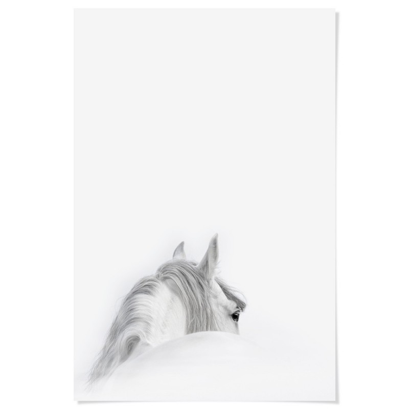 Mystic White Horse Art Print