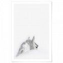 Mystic White Horse Art Print