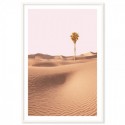 Sand Dune Palm Art Print