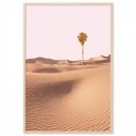 Sand Dune Palm Art Print