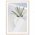 Santorini Cactus Art Print