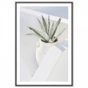 Santorini Cactus Art Print