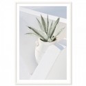 Santorini Cactus Art Print