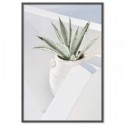 Santorini Cactus Art Print