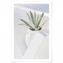 Santorini Cactus Art Print