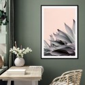 Summer Aloe Cactus Art Print