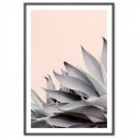 Summer Aloe Cactus Art Print