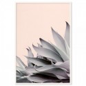 Summer Aloe Cactus Art Print