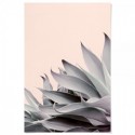 Summer Aloe Cactus Art Print