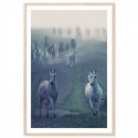 Wild Horses Art Print