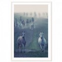 Wild Horses Art Print