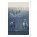 Wild Horses Art Print