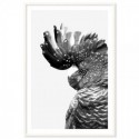 Black Cockatoo Monochrome Art Print