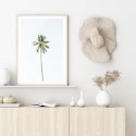 Beach Palm Tree Art Print