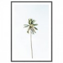 Beach Palm Tree Art Print