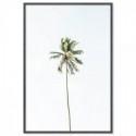 Beach Palm Tree Art Print