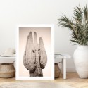 Cactus Rose Art Print