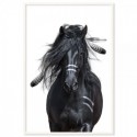 Horse Warrior Art Print