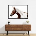 Pinto Horse Art Print