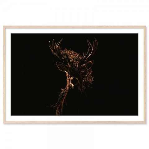 Midnight Deer Art Print