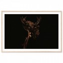 Midnight Deer Art Print