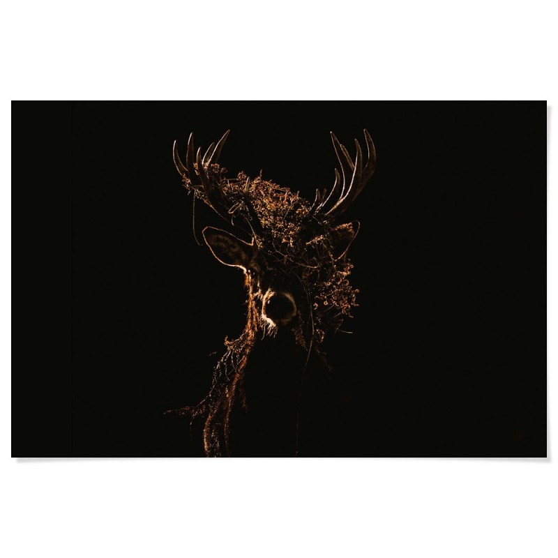 Midnight Deer Art Print