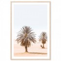 Moroccan Desert Palms Art Print