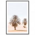 Moroccan Desert Palms Art Print