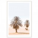 Moroccan Desert Palms Art Print