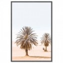 Moroccan Desert Palms Art Print