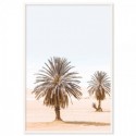 Moroccan Desert Palms Art Print