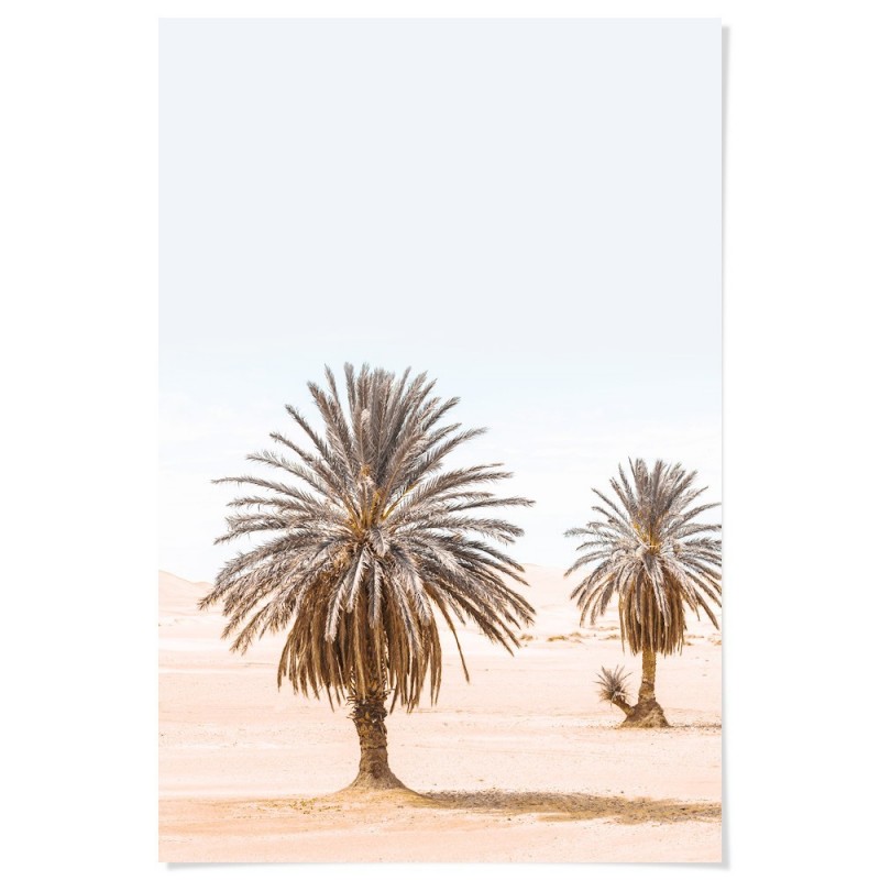 Moroccan Desert Palms Art Print