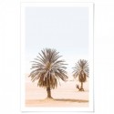 Moroccan Desert Palms Art Print