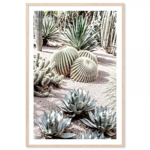 Majorelle Garden Morocco Art Print