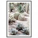 Majorelle Garden Morocco Art Print