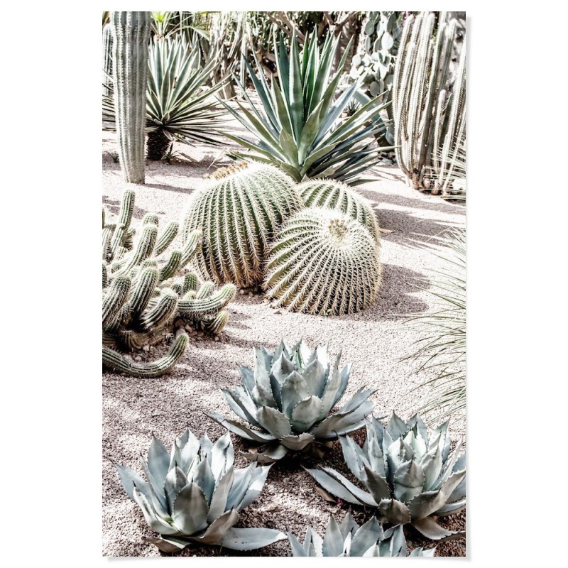 Majorelle Garden Morocco Art Print