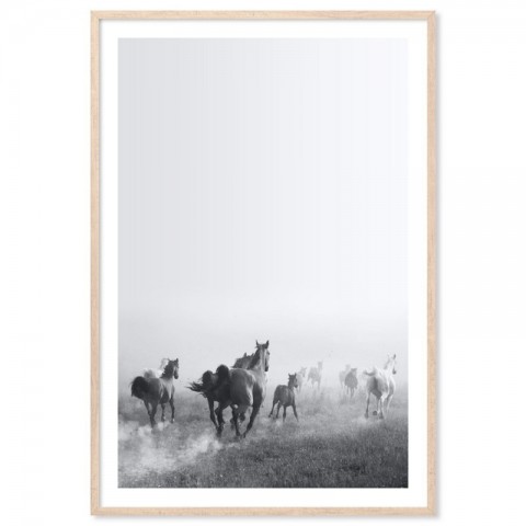 Wild Horses Run Free Art Print