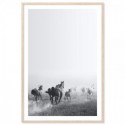 Wild Horses Run Free Art Print