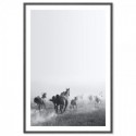 Wild Horses Run Free Art Print