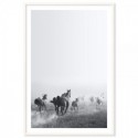 Wild Horses Run Free Art Print