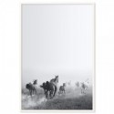 Wild Horses Run Free Art Print