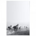 Wild Horses Run Free Art Print